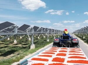 Agrovoltaico 17,52 MW PAUR in fase di rilascio con non assoggettabilità a VIA